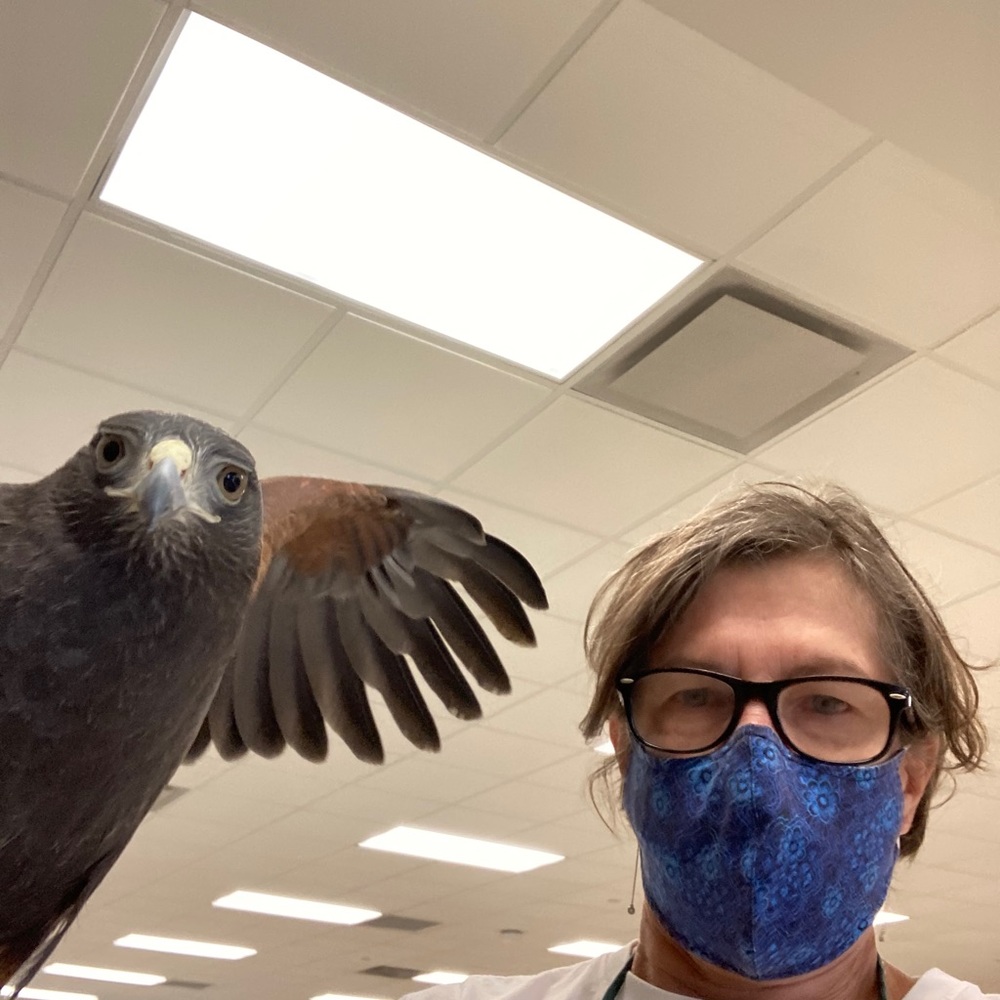 Meet your Posher, Rie